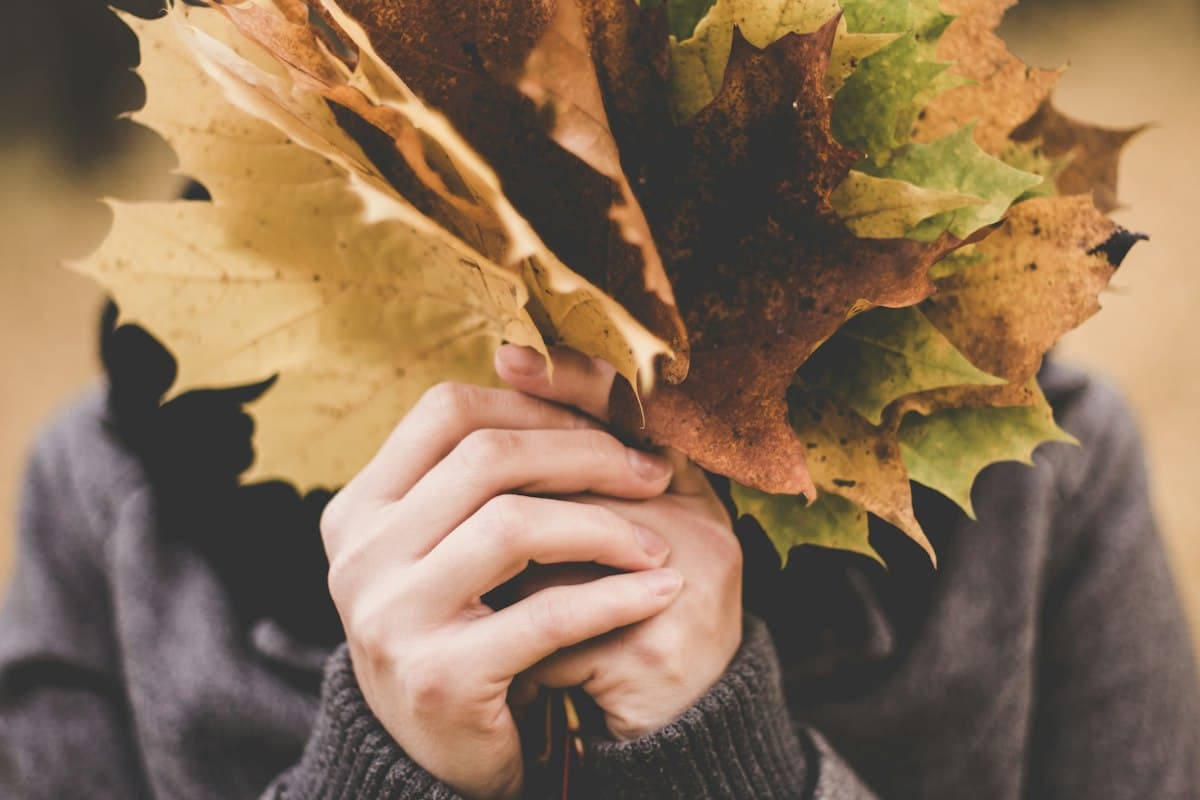 Hands holding a bunch of autumn leaves